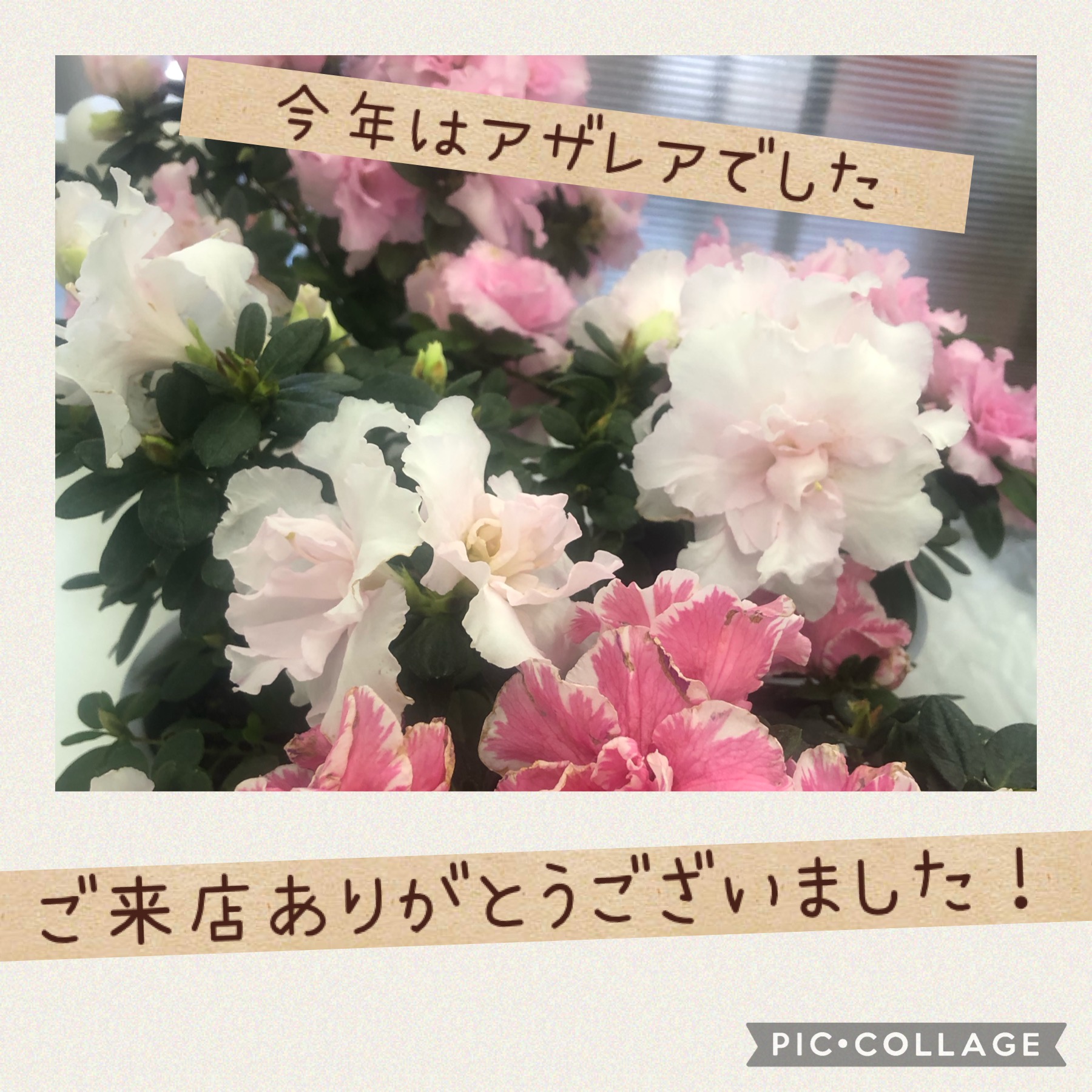 周年祭でした♪
