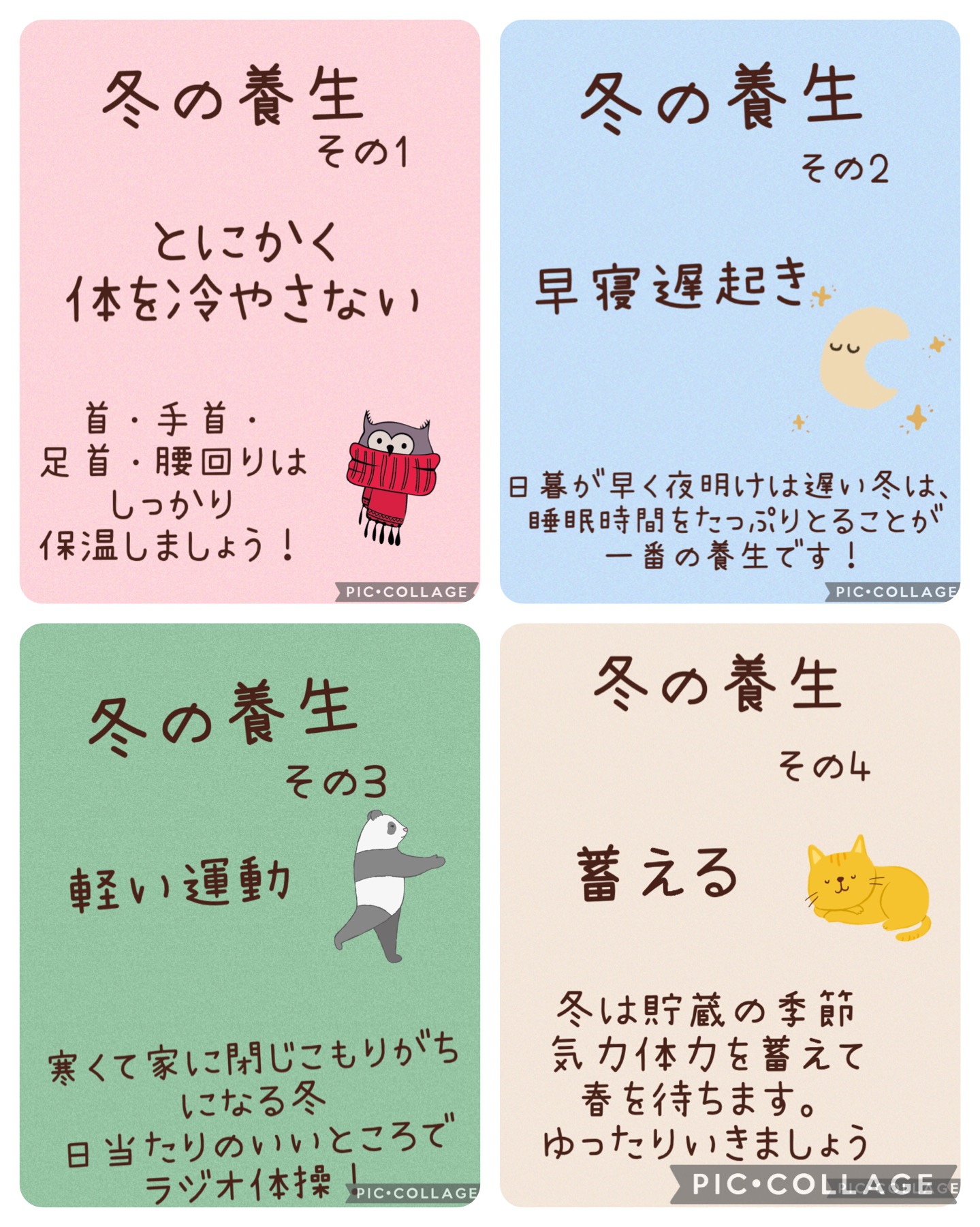 冬の養生⛄