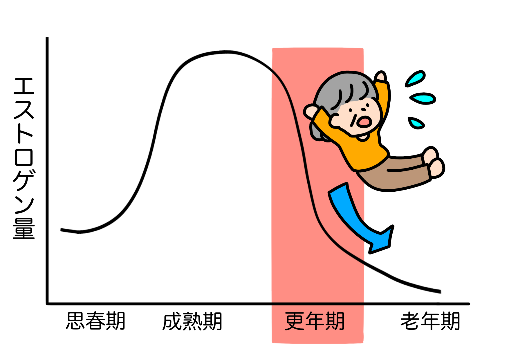 エストロゲンの急激な減少に負けない体!